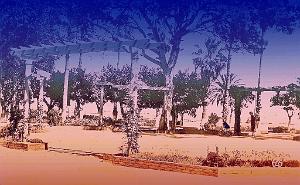 Arzew 507- Le square